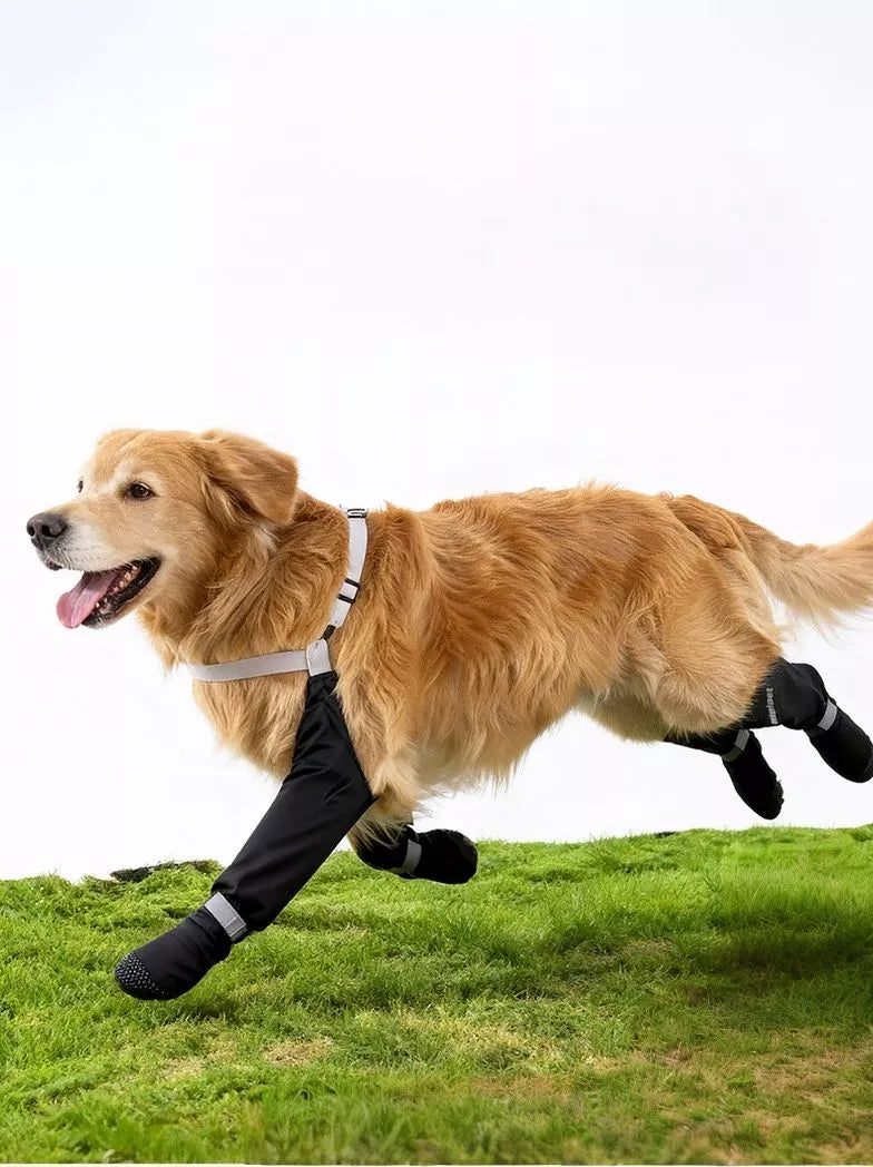 36c412c3-795b-409c-98fa-79e6e01dcd44-Max-Origin