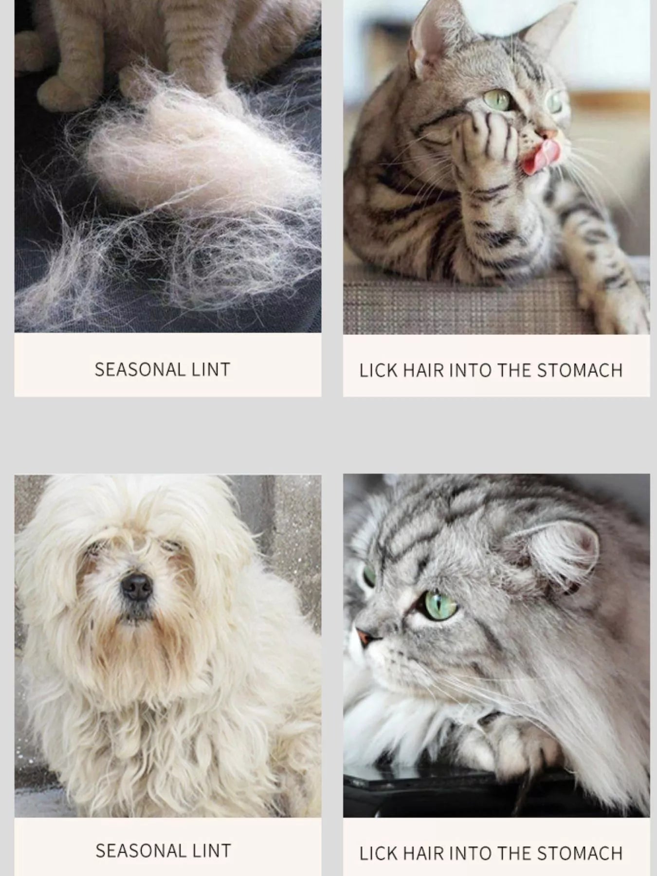 4e853435-ac3a-418e-b7d3-c70f124c0f08-Max-Origin