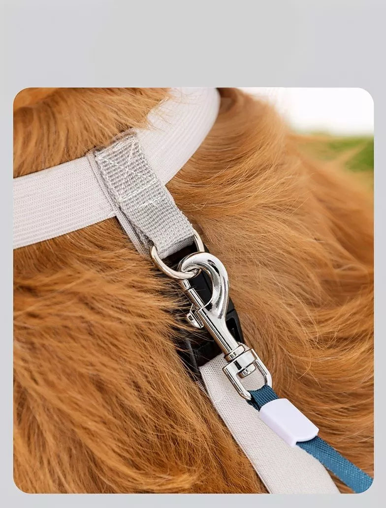 5edacaca-a800-4dfa-b79d-97e7979605e4-Max-Origin