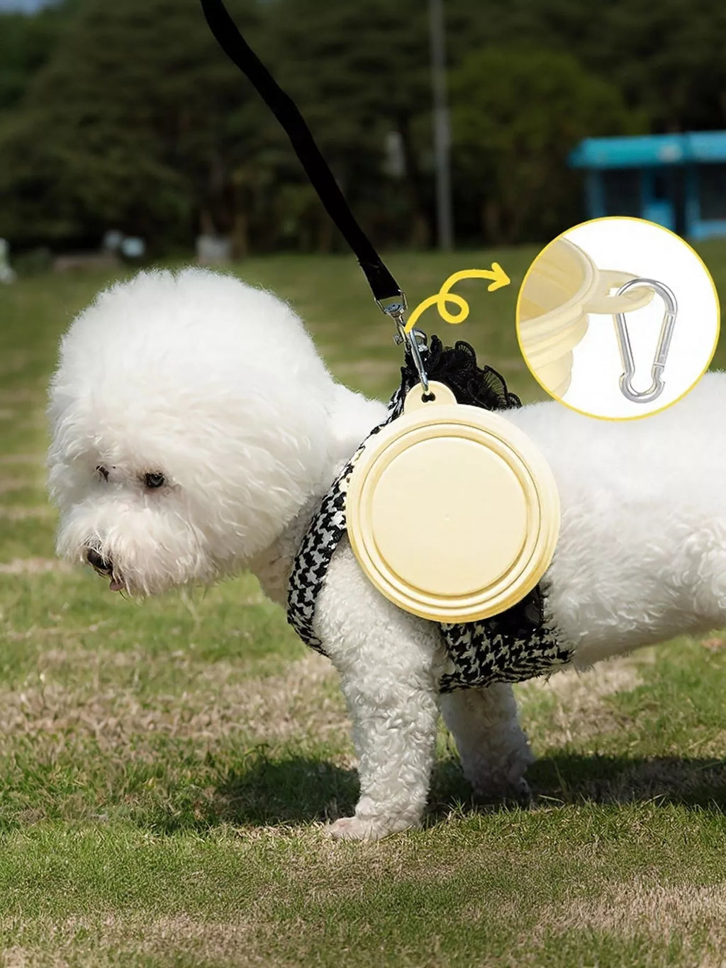 7e903a6a-8acb-4bee-a874-d518db6749f3-Max-Origin